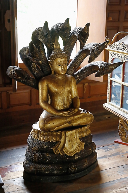 Wat Krathum Suea Pla-052